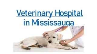 Veterinary Hospital in Mississauga