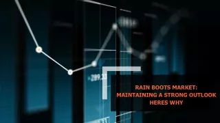 Rain Boots Market Development, Current Status And Forecast
