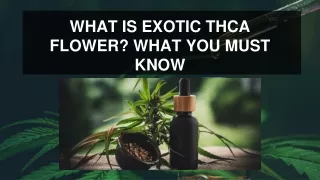 WHAT IS EXOTIC THCA FLOWER WHAT YOU MUST KNOW