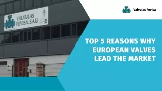 Top 5 reasons why european valves lead the market