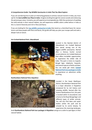 A Comprehensive Guide- Top Wildlife Sanctuaries in India That You Must Explore