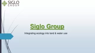 Revitalize Austin's Ecology with Siglo Group's Restoration Services