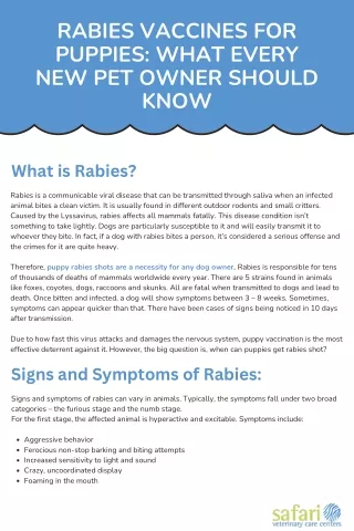 Rabies Vaccines for Puppies What Every New Pet Owner Should Know