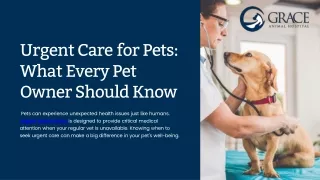 Understanding Urgent Care for Pets