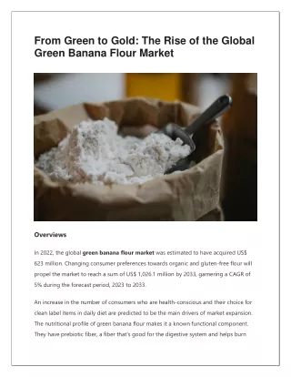 Global Green Banana Flour Market Comprehensive Analysis and Forecast 2023-2033