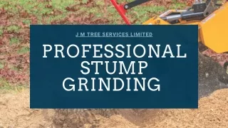 Professional stump grinding Alwoodley, Roundhay, and Leeds