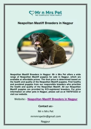 Neapolitan Mastiff Breeders in Nagpur