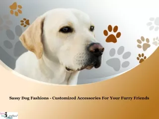 Sassy Dog Fashions - Customized Accessories For Your Furry Friends