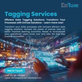 Efficient Data Tagging Solutions: Transform Your Processes with EnFuse Solutions