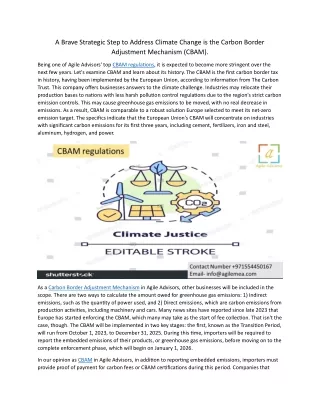 A Brave Strategic Step to Address Climate Change is the Carbon Border Adjustment Mechanism  15.6.24