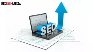 SEO In NJ