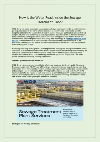 How Is the Water React Inside the Sewage Treatment Plant