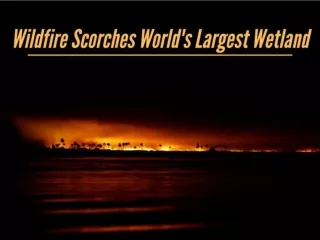 Wildfire scorches world's largest wetland