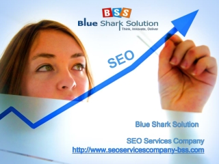 SEO Services Company and Their Utility in Increasing Website