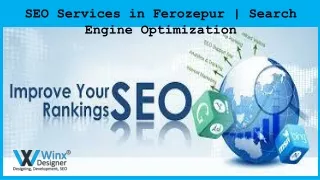 SEO Experts in Ferozepur