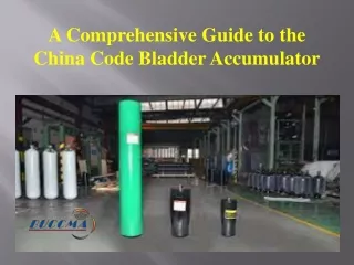 A Comprehensive Guide to the China Code Bladder Accumulator