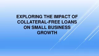 Exploring the Impact of Collateral-Free Loans on Small Business Growth