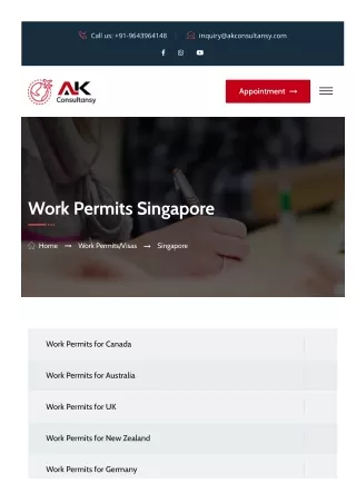 Work Permits for Singapore An Overview of the Application Process