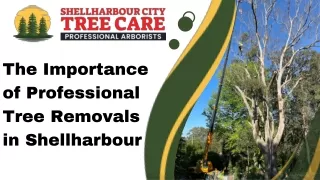 The Importance of Professional Tree Removals in Shellharbour