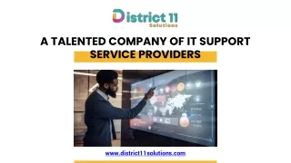 A Talented Company of IT Support Service Providers