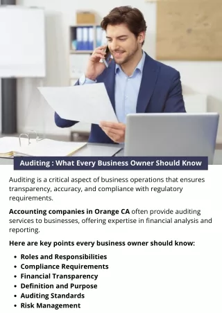 Auditing : What Every Business Owner Should Know