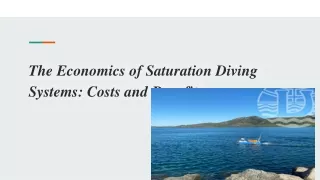 The Economics of Saturation Diving Systems_ Costs and Benefits