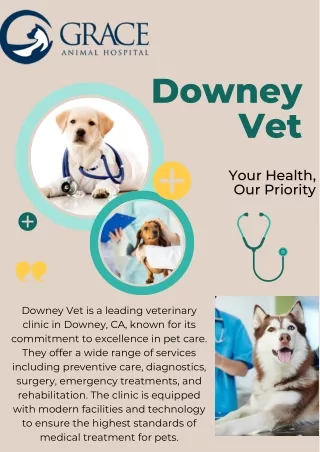 Downey Vet: Your Go-To for Happy, Healthy Pets