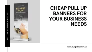 Cheap Pull Up Banners for Your Business Needs