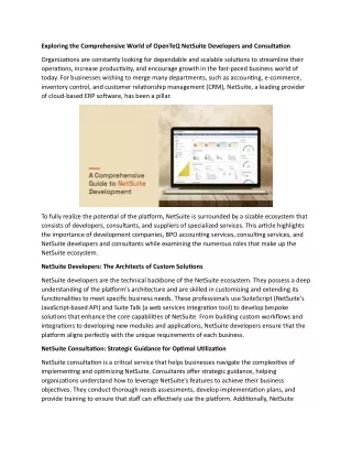 Exploring the Comprehensive World of OpenTeQ NetSuite Developers and Consultation