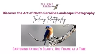 Discover the Art of North Carolina Landscape Photography with Trailway