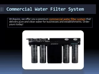 Commercial Water Filter System