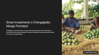 SMART INVESTMENTS IN CHENGALPATTU MANGO FARMLAND