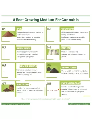 8 Best Growing Medium for Cannabis