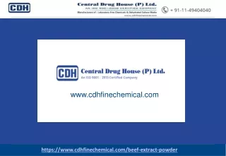 Beef Extract Powder Manufacturer