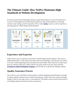 The Ultimate Guide: How NetPyx Maintains High Standards in Website Development