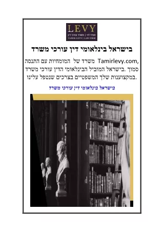 משרד עורכי דין בינלאומי בישראל