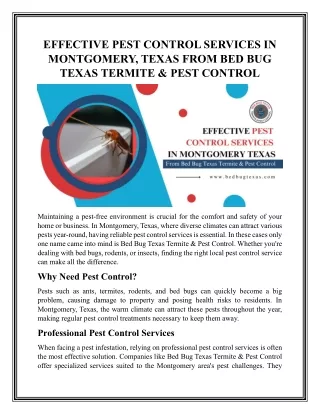 Effective Pest Control Services in Montgomery, Texas