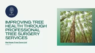 Improving Tree Health through Professional Tree Surgery Services