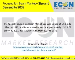 Focused Ion Beam Market