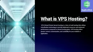 What is VPS Hosting ? - Big Bird Web