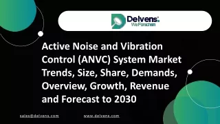 Active Noise and Vibration Control (ANVC) System Market