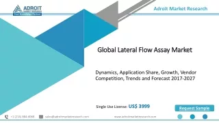 Lateral Flow Assay Market Size, Business Statistics Forecast Analysis 2020-2030