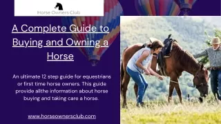 Guide to Buying and Owning a Horse - HorseOwnersClub