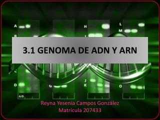 3.1 GENOMA DE ADN Y ARN