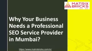 Why Your Business Needs a Professional SEO Service Provider in Mumbai