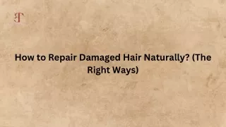 How to Repair Damaged Hair Naturally? (The Right Ways)