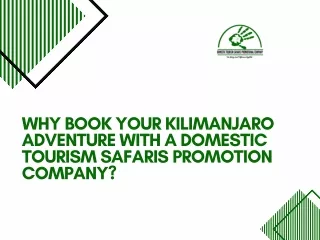 Why Book Your Kilimanjaro Adventure With A Domestic Tourism Safaris Promotion Company