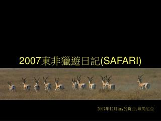 2007 東非獵遊日記 (SAFARI)