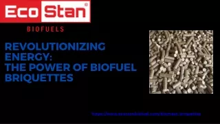 Revolutionizing Energy  The Power of Biofuel Briquettes