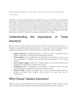 Best Travel Insurance in UAE Why Tawasul Insurance Should Be Your First Choice